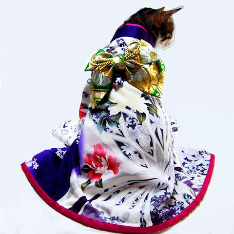 https://charlottecarrendar.files.wordpress.com/2014/05/47343-kimonocat.jpg